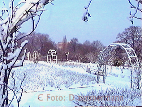 Winter-01.jpg